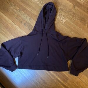 Alo Double Take Cropped Hoodie